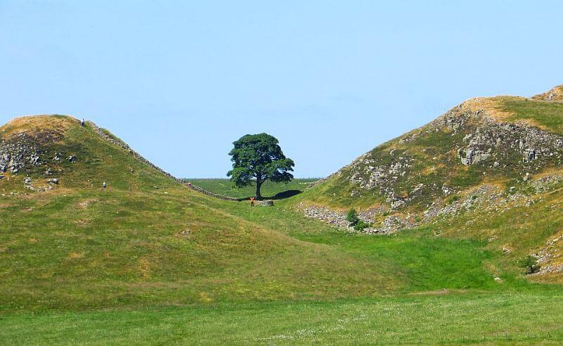 Sycamore Gap along Hadrian's Wall