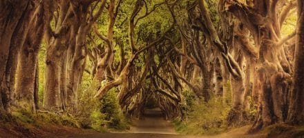 4 films et séries tournés en Irlande