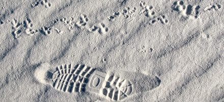 Leave No Trace Footprint