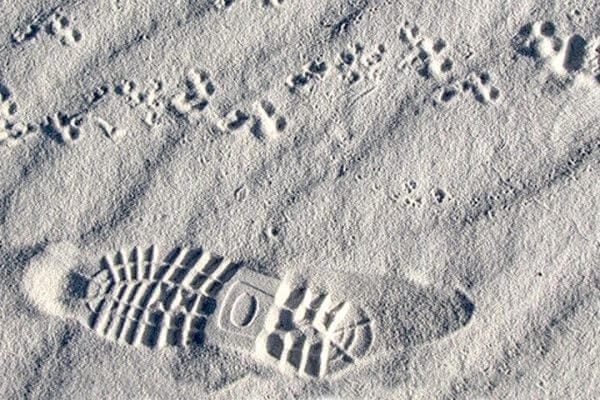 Leave No Trace Footprint