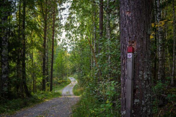 pelgrimstocht pelgrimage