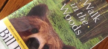 The cover of a walk in the woods