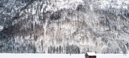 winterfoto's winterlandschap duitsland hillwalk tours