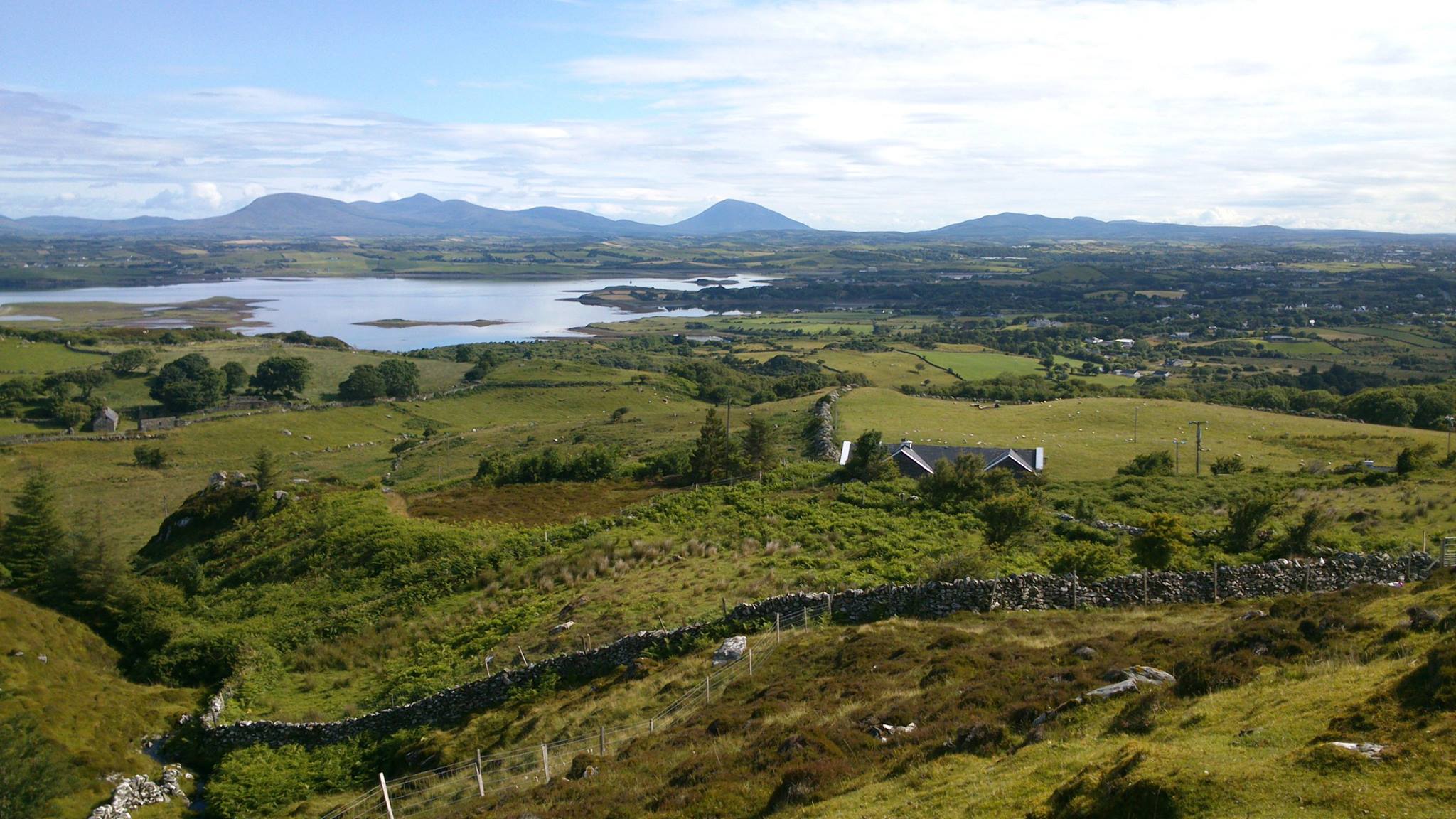 2014 7 13 nadine arnold 1