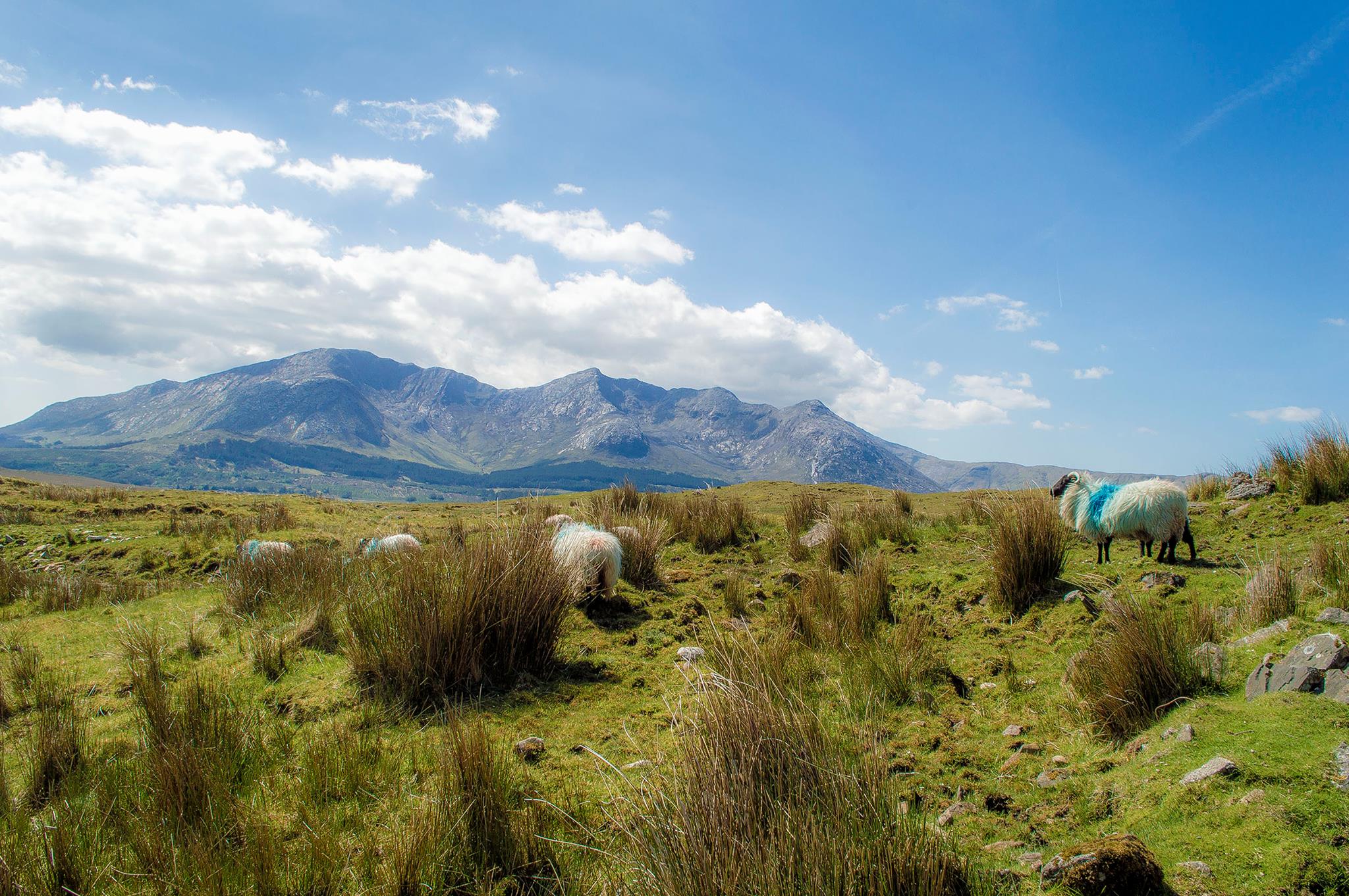 2016 5 27 robrecht kruft14@gleannanmhama 1