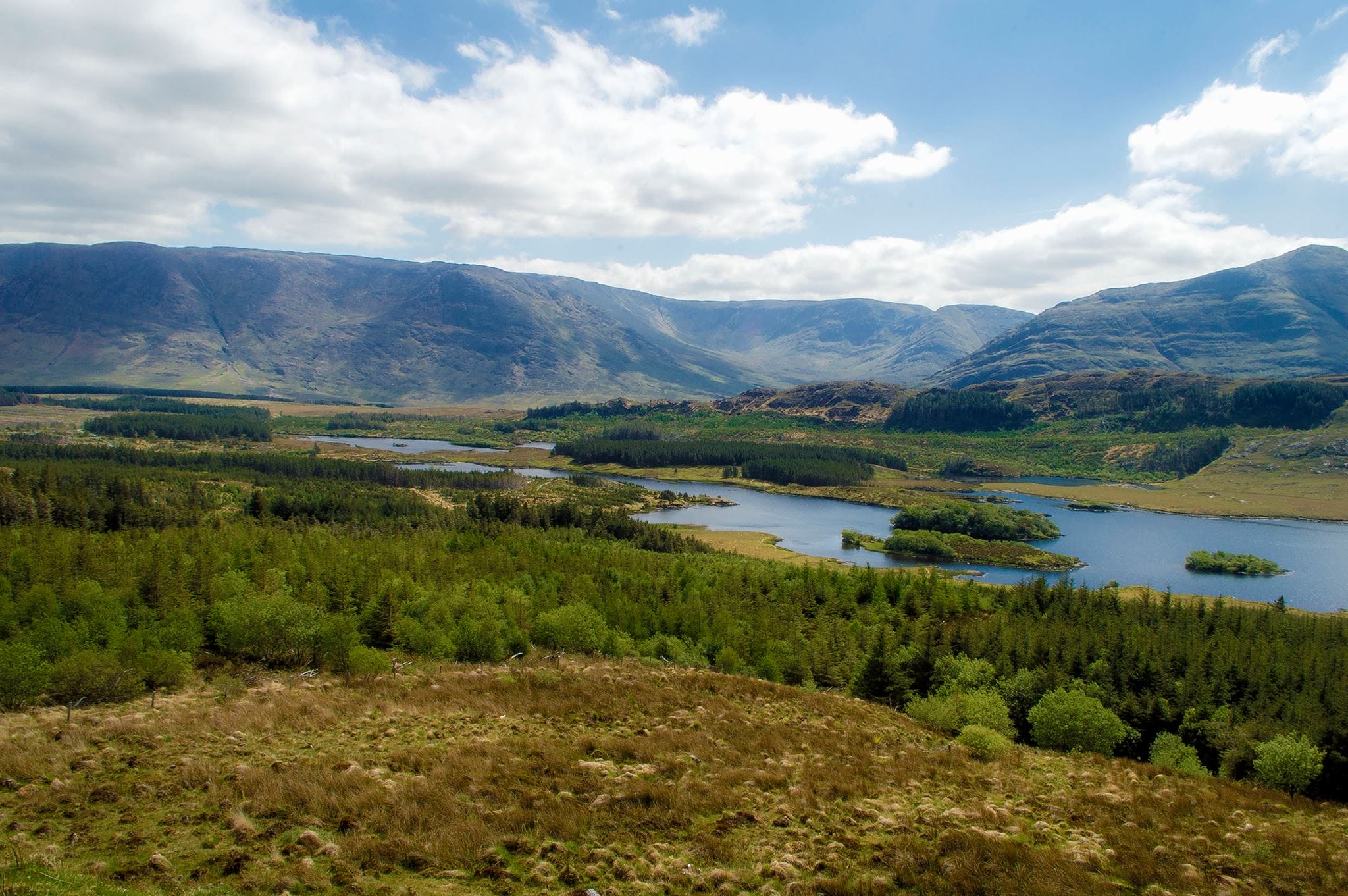 2016 5 27 robrecht kruft4@tawnyardlough 1