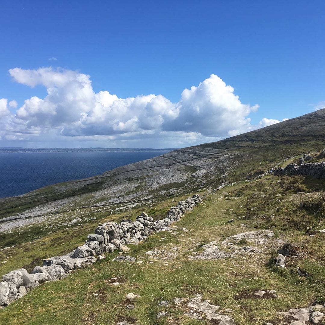 2019 6 24 mccannedgoods@bu (5)