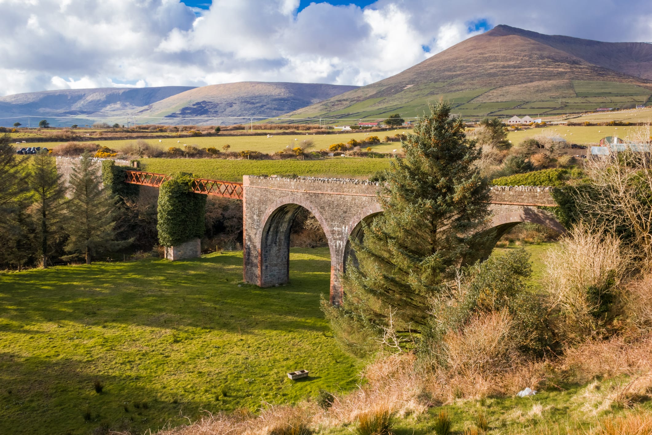 dreamstimemedium 81476413 1