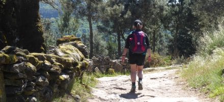 sarria to portomarin 158