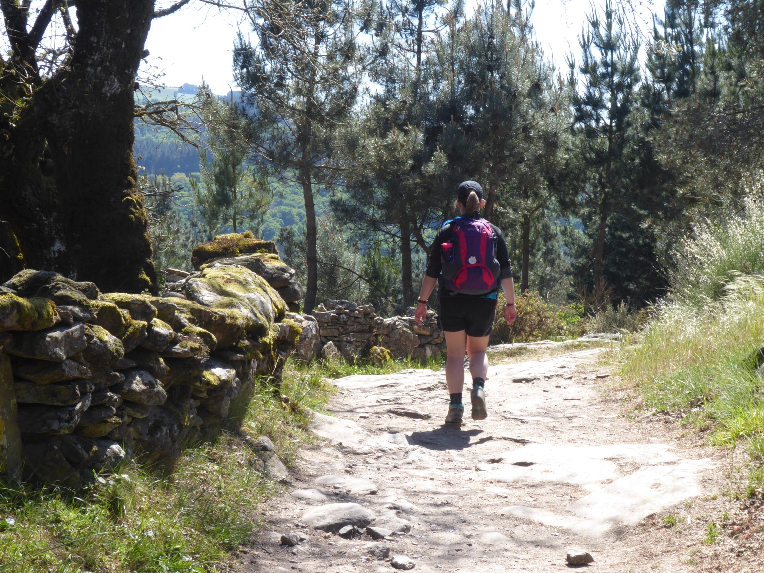 The Symbolism of the Scallop Shell on the Camino - Hillwalk Tours