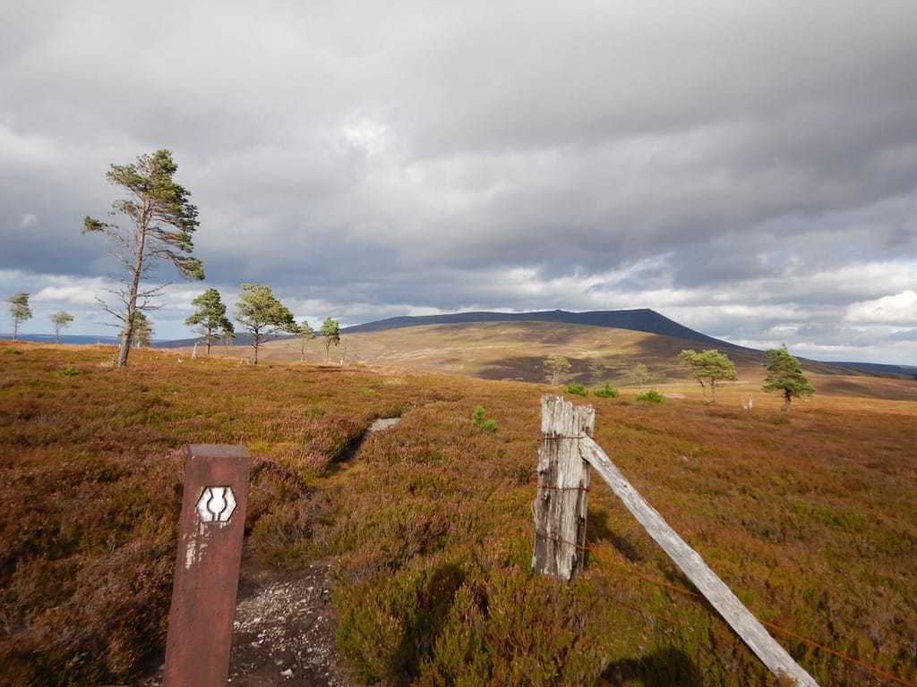 speyside way whisky trail with hillwalk tours 19