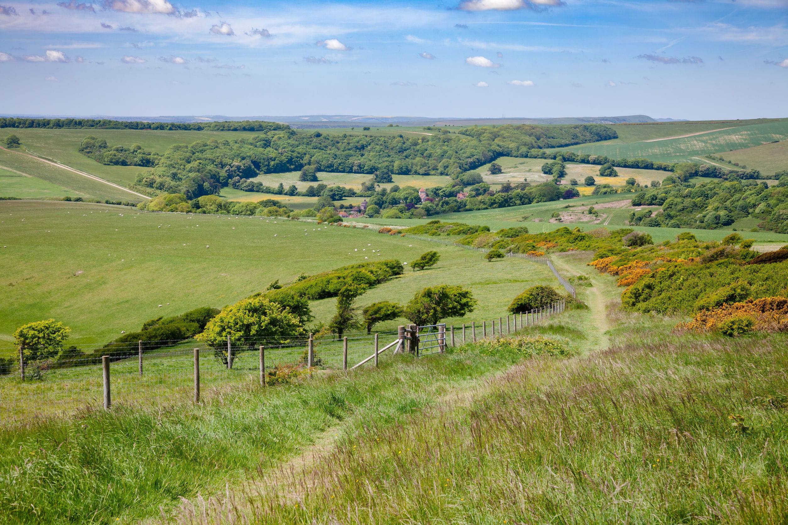 south downs way national trail in sussex southern england uk