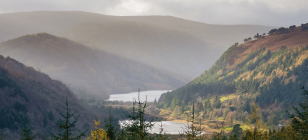 wm blog featured photo