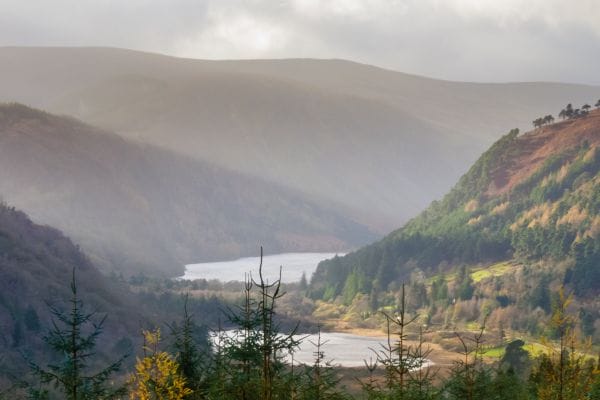 wm blog featured photo