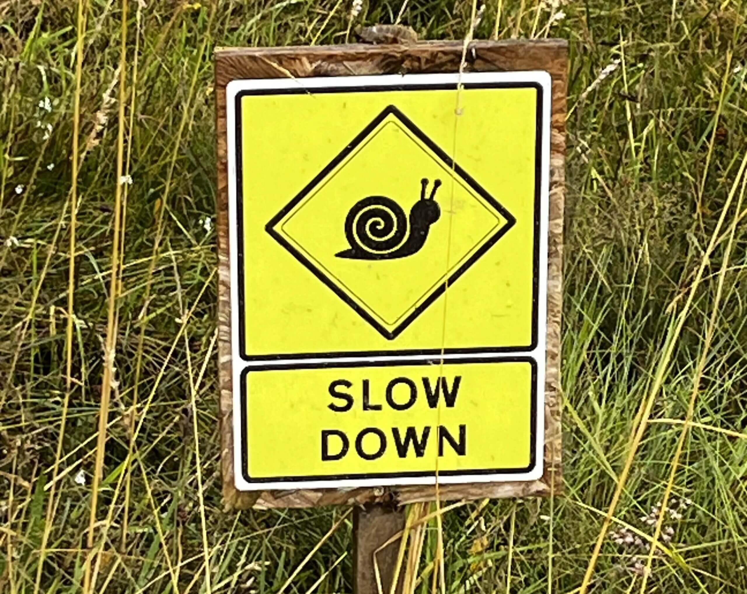 "Slow Down, Snails Crossing" sign