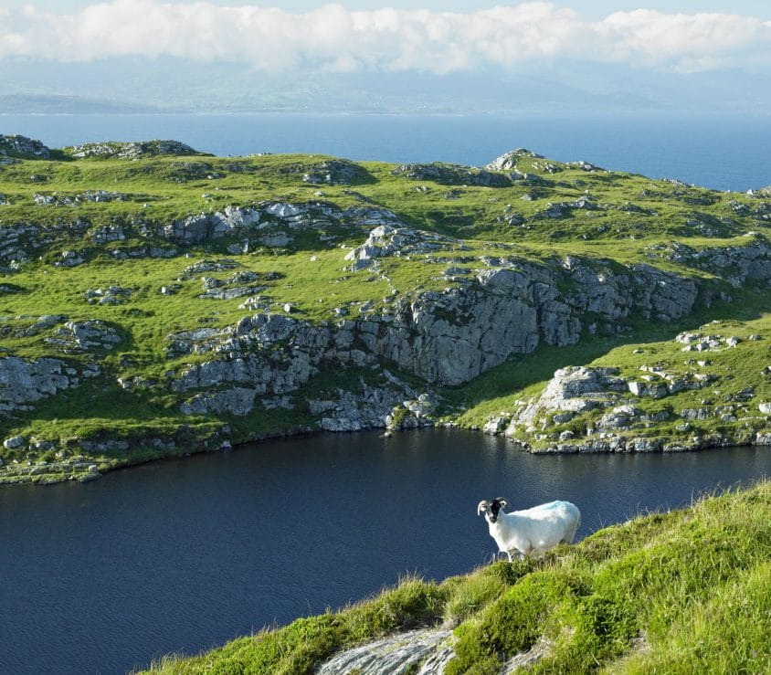 hiking in Ireland on the sheep''s head peninsula, county cork, ireland