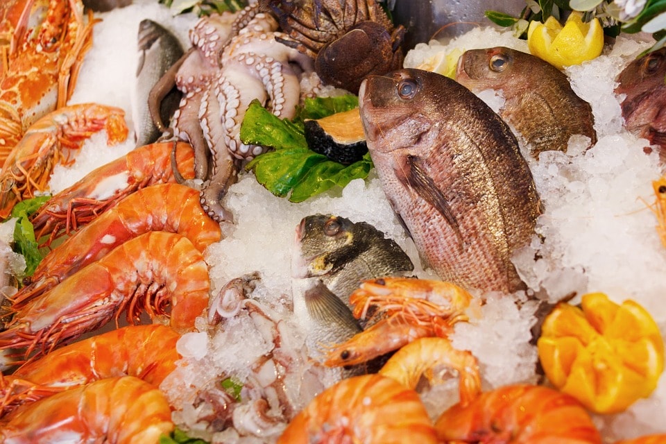 Seafood - Source: Ardconnel Court