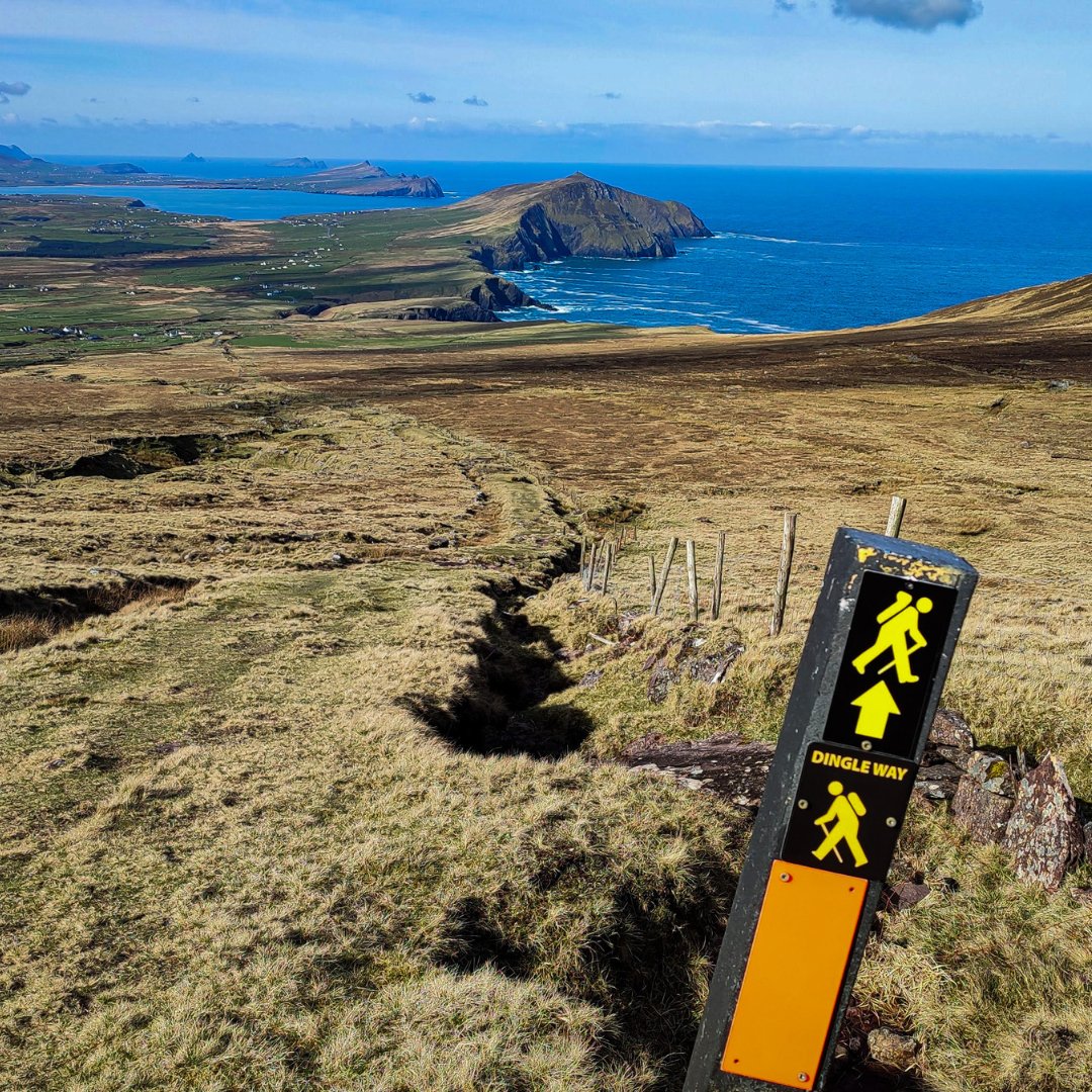 Yellow Hiker Waymark, Dingle Way