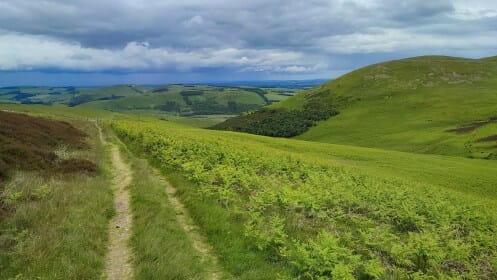St Cuthbert’s Way