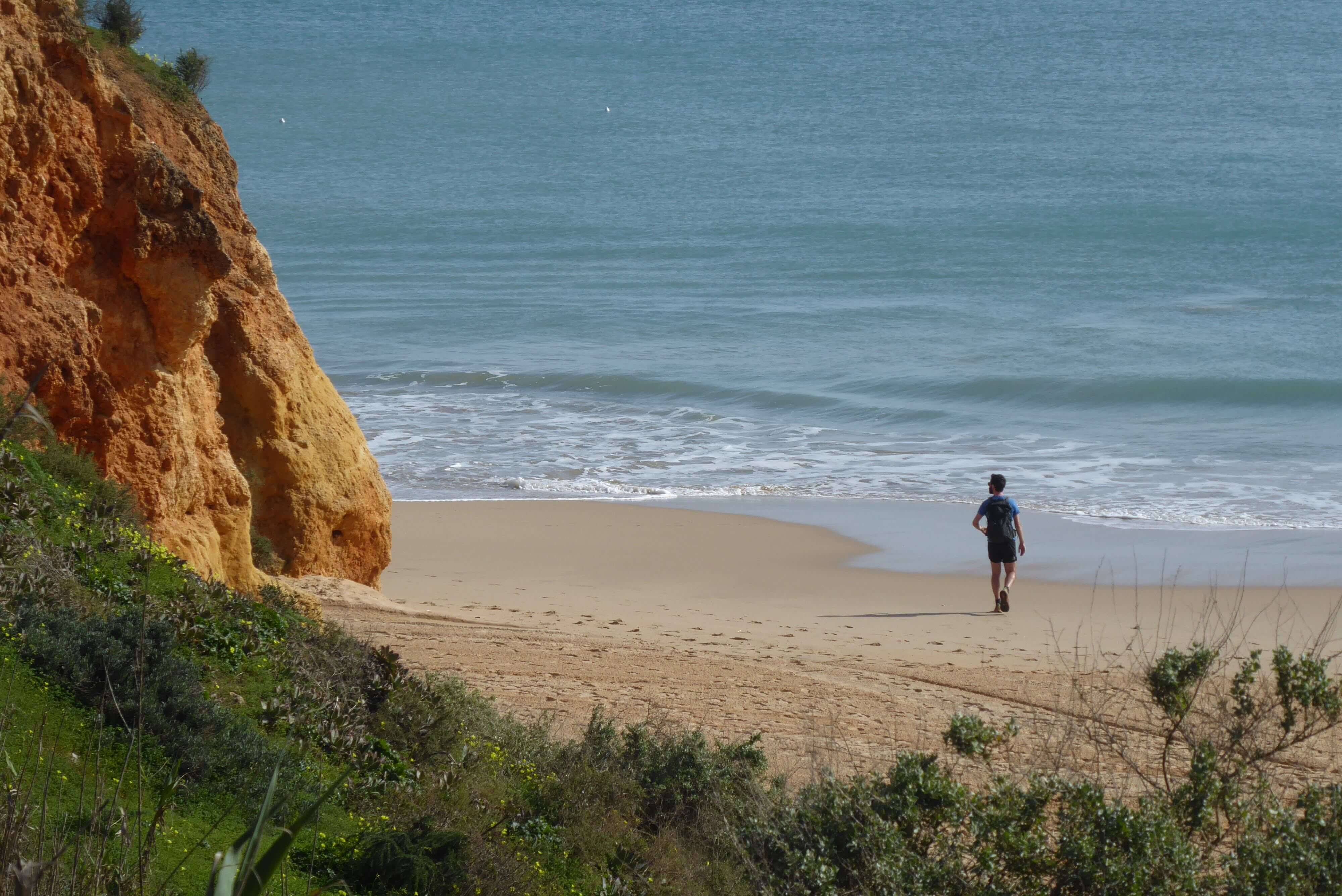 A lone hiker on a sandy beach in Alvor Portimão looks around at the cliffs and walks toward the Atlantic Ocean
