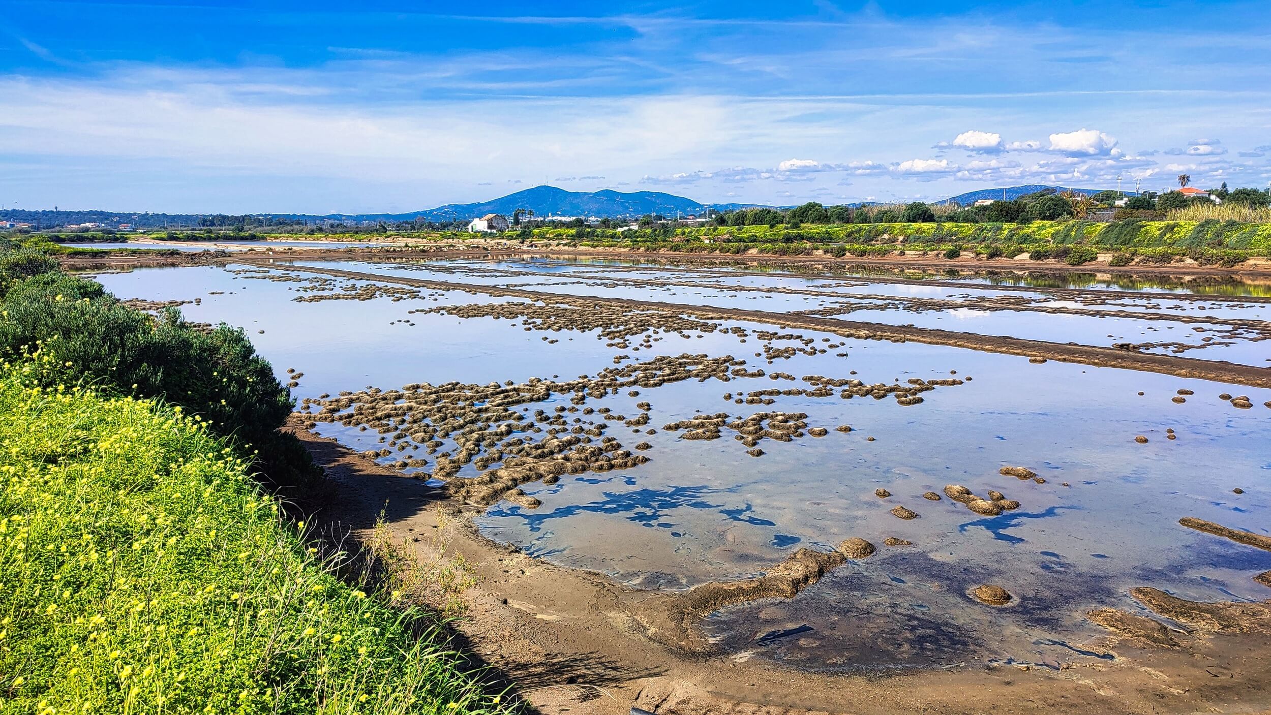 Lagoon at Fuseta