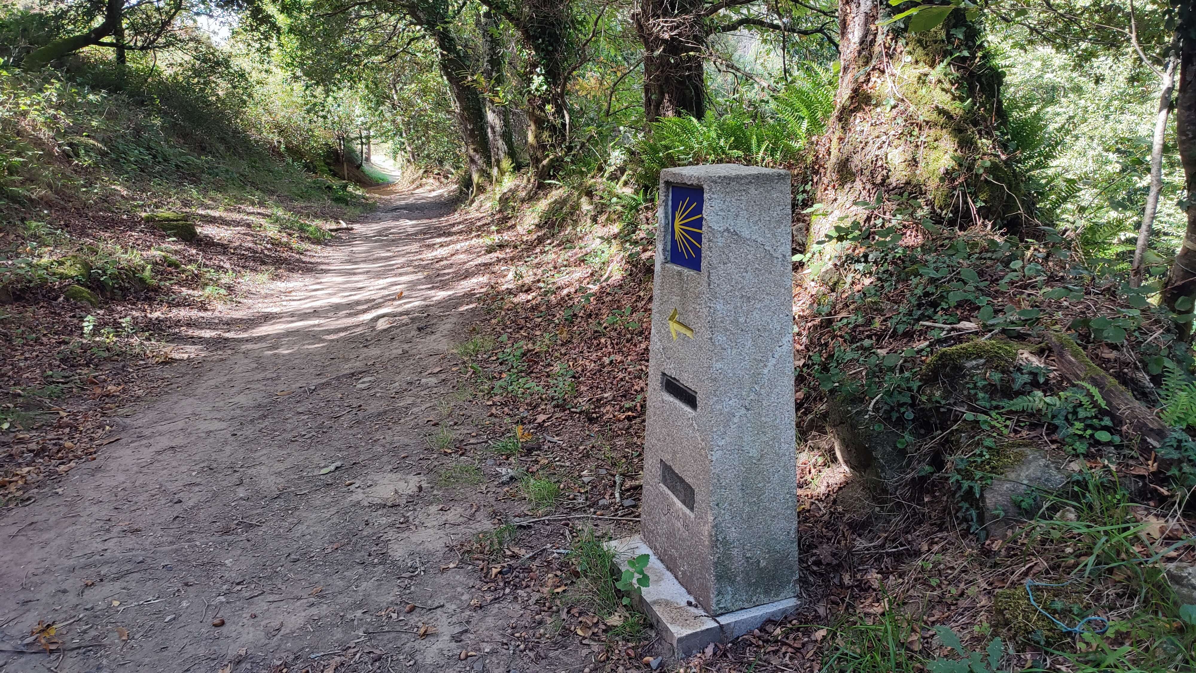 prim waymark on forest path img 20250929 152805
