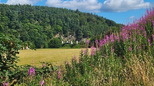 Speyside Way & Cairngorms