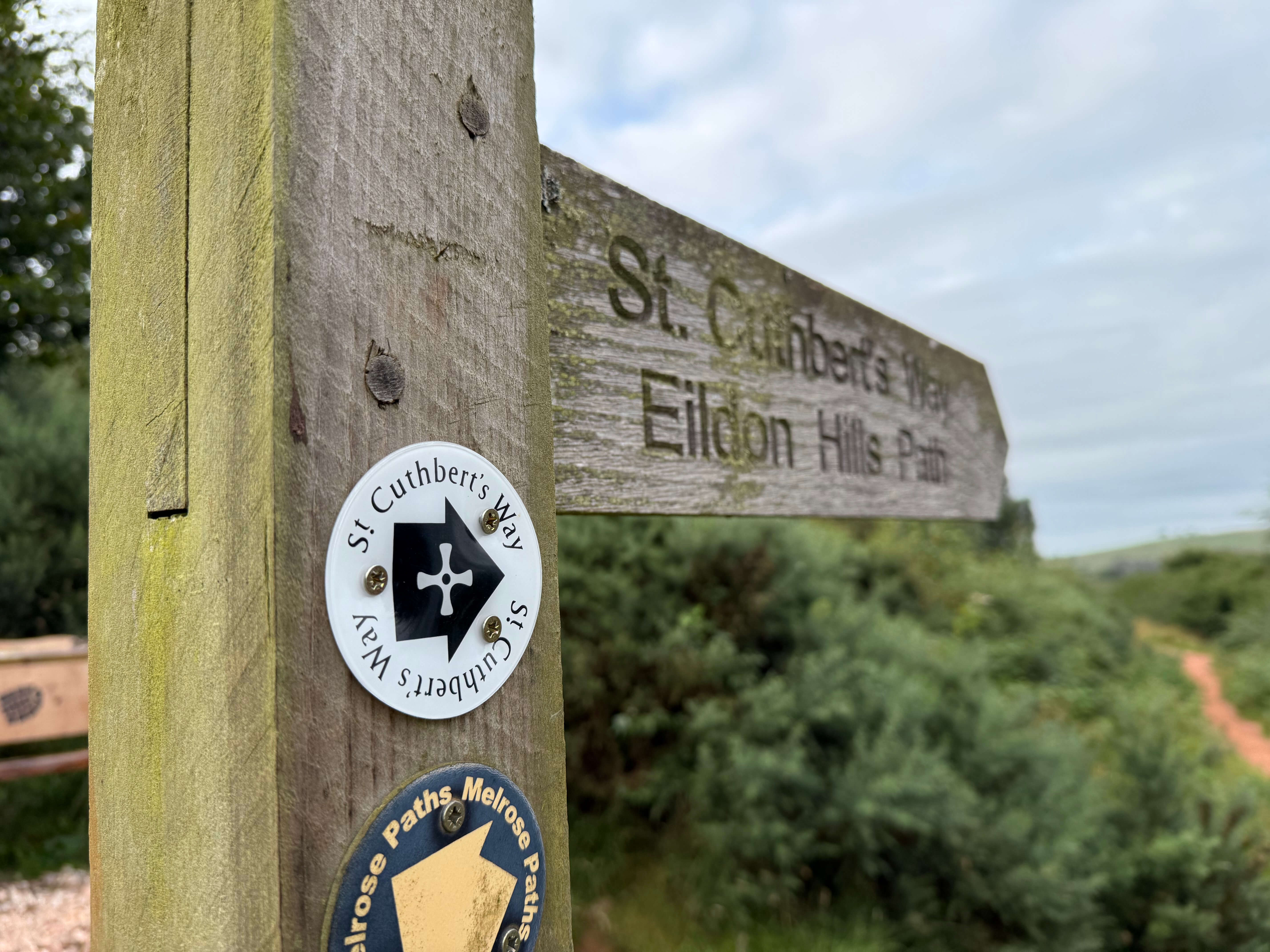 A fingerpost reading "St. Cuthbert's Way Wildon Hills Path". It has a logo for St. Cuthberts way and for Melrose walking paths on the post. In the background is a cloudy blue sky and some green foliage.