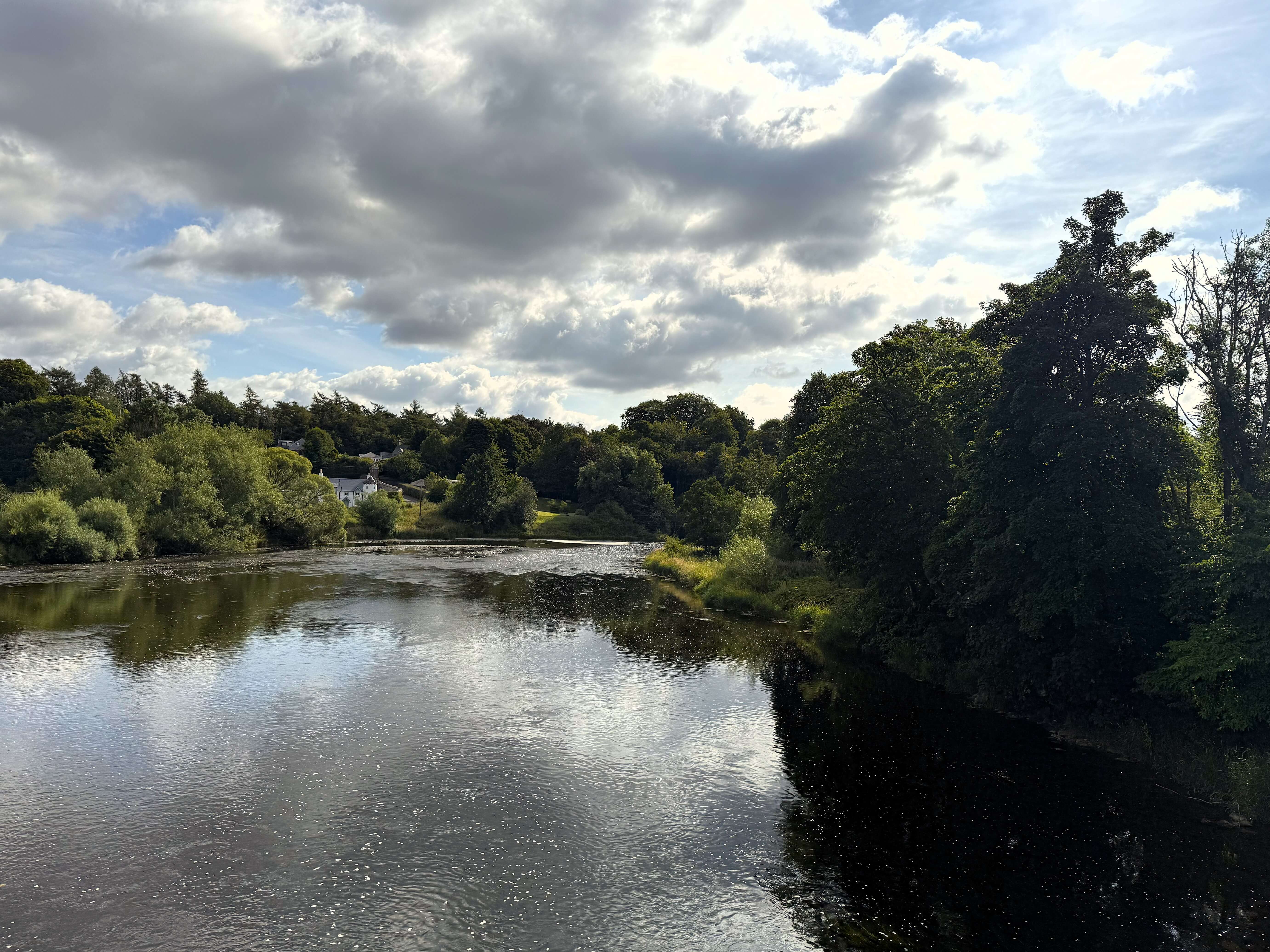 The river Tweed on the St Cuthbert's Way, wide and pristine, surrounded by trees and hedges.