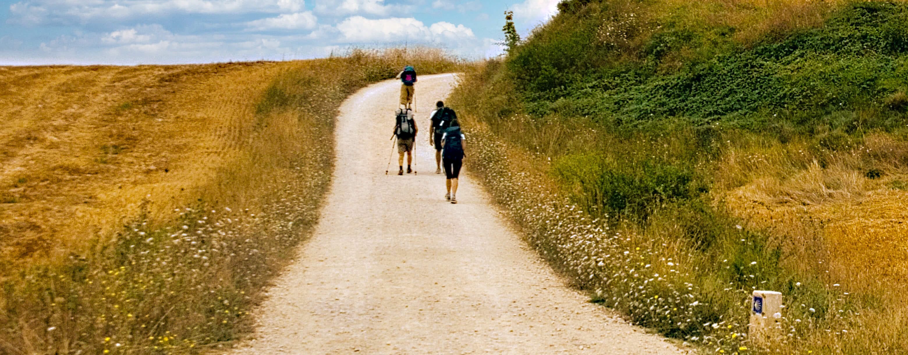 Three pilgrims with backpacks and trekking poles walk away on wide dirt path through summer countryside. Path bordered by golden dried grass on left, tall green hedgerow on right. Blue and white Camino waymarker with yellow scallop shell visible at path edge. Bright blue sky with scattered clouds overhead.
