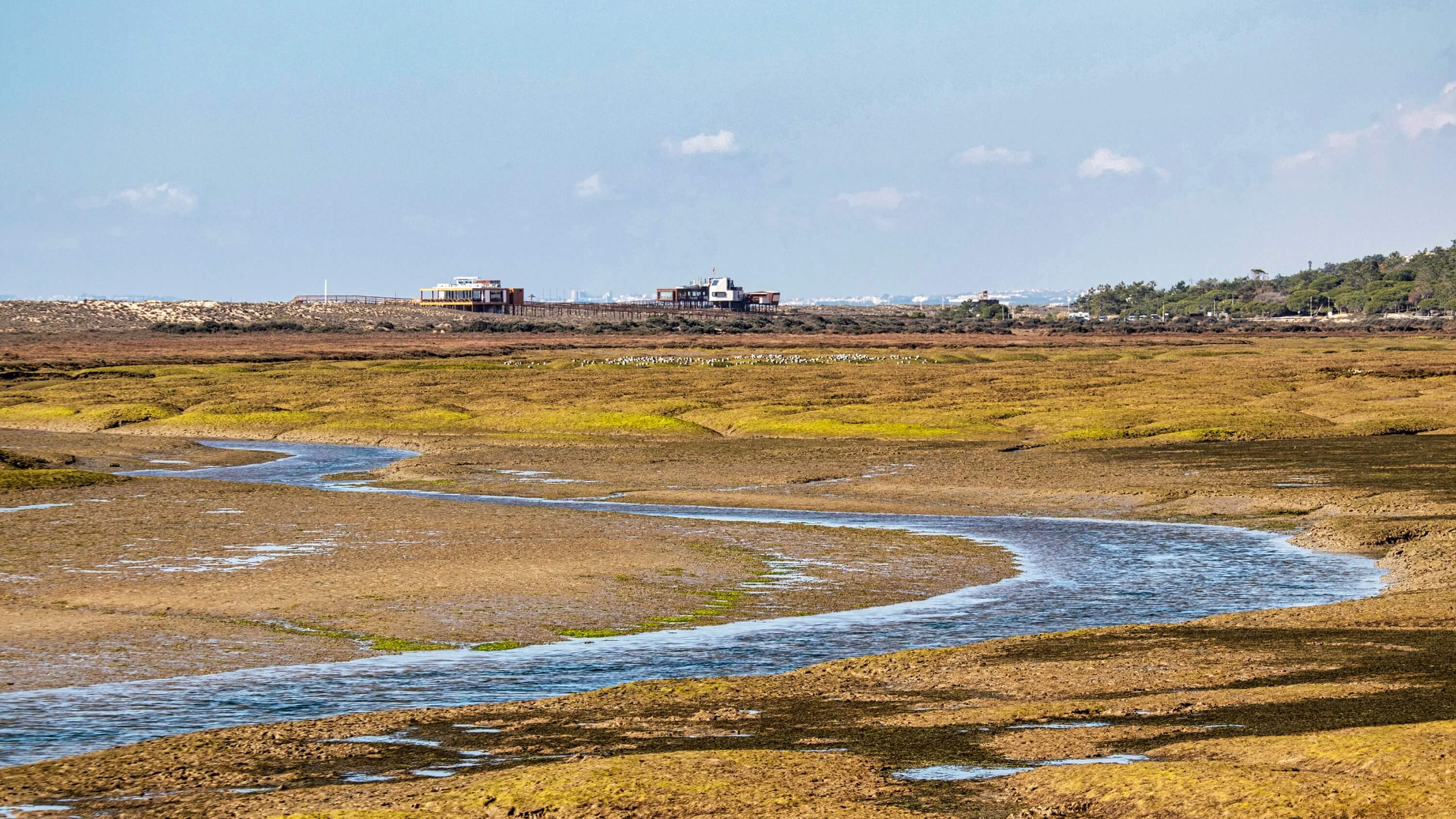 copy of algarve coast (golden south west) 1