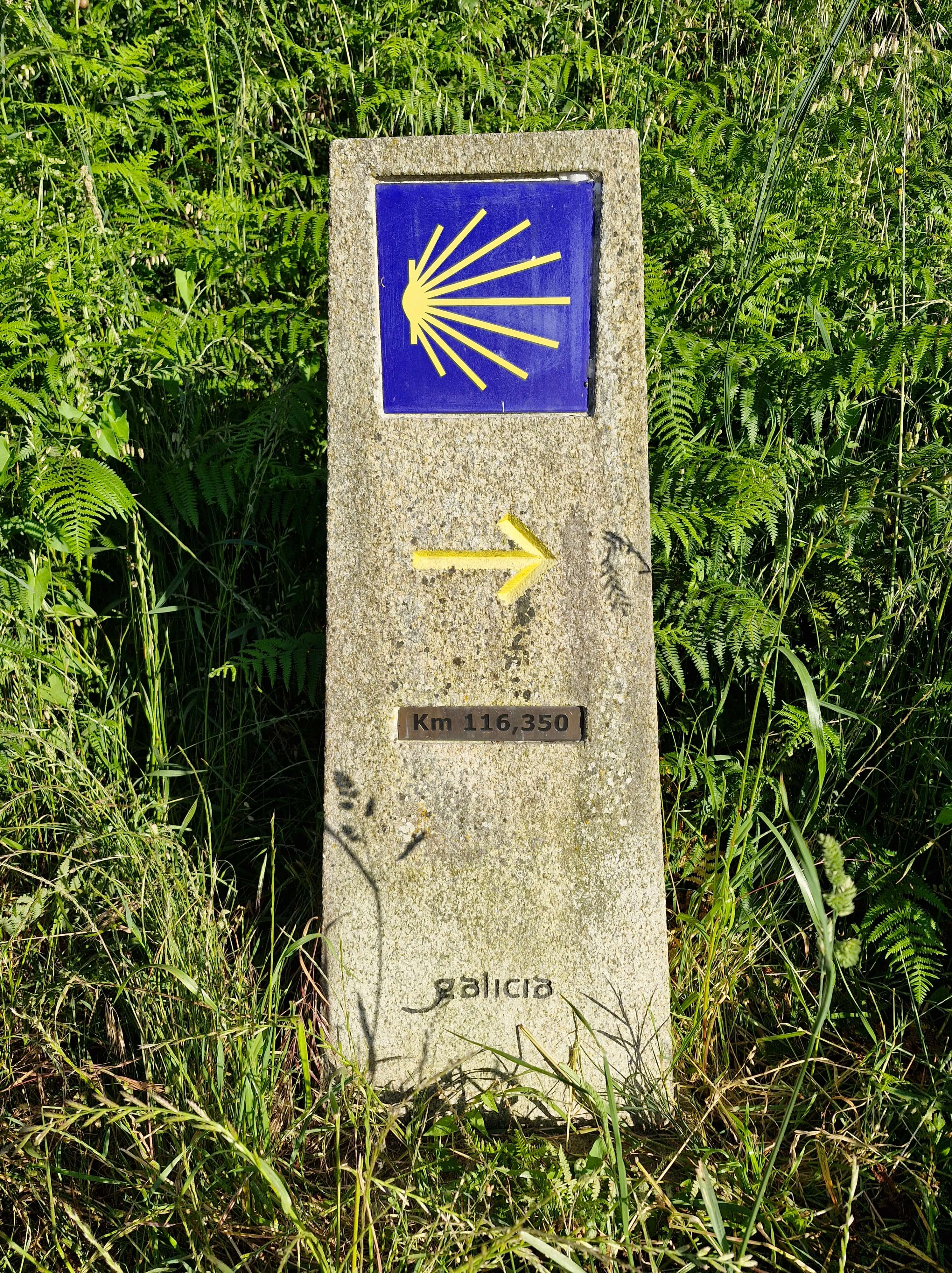 A waymark on the Camino Portuguese