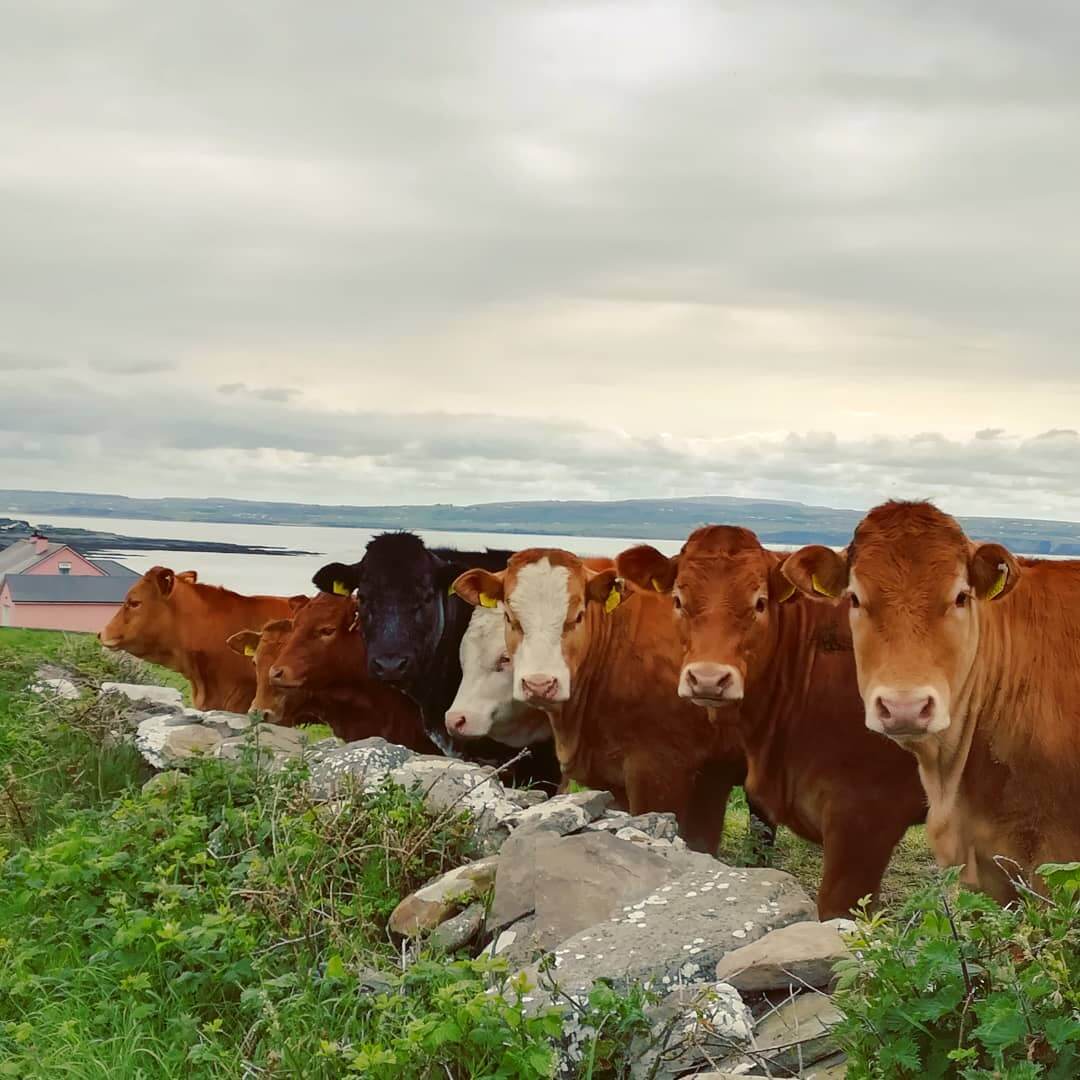 2019 5 26 sauerland.shots@bu (1)