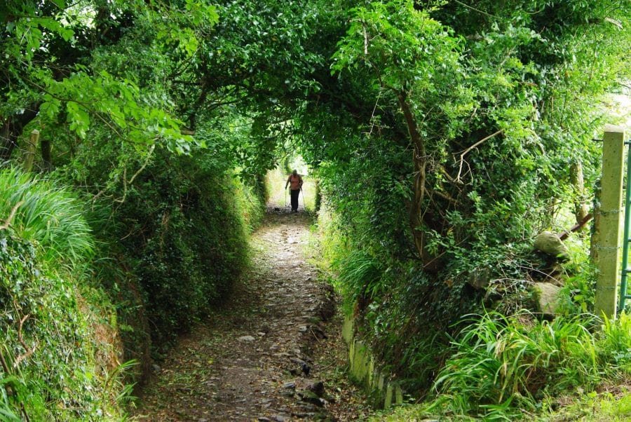 Dingle_Way_Kerry_Camino_Hillwalk_Tours